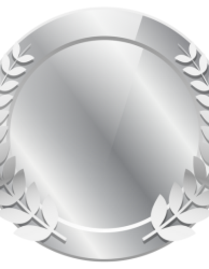 Silver Bundle
